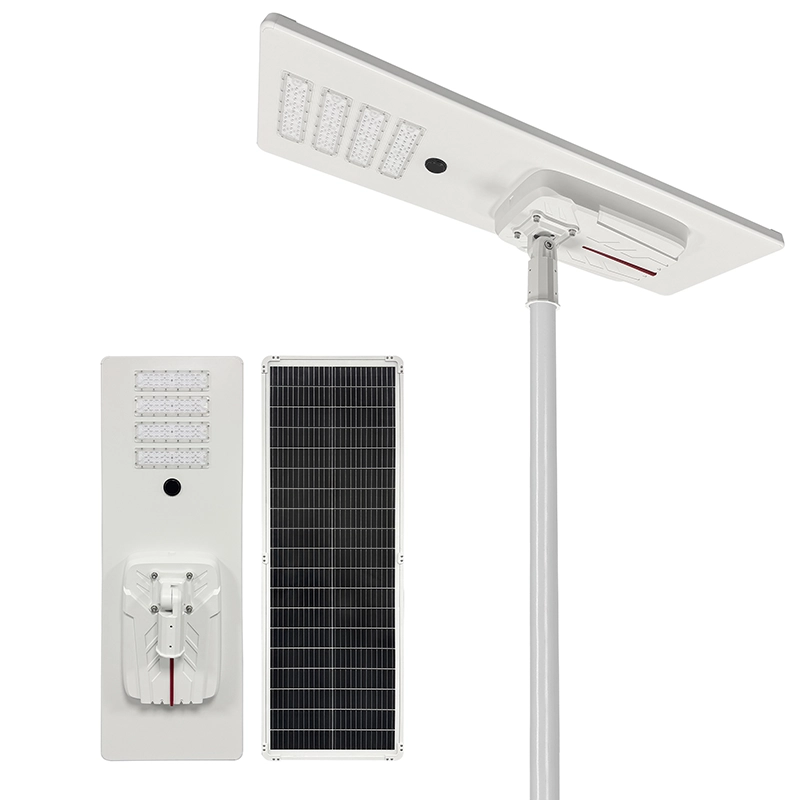 Complete WJDH Series Family