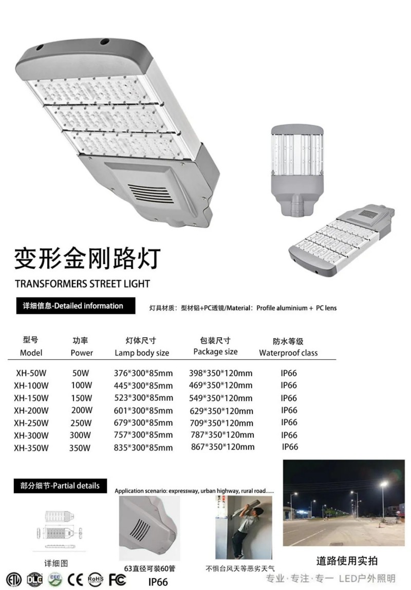 Economy cobra head housing