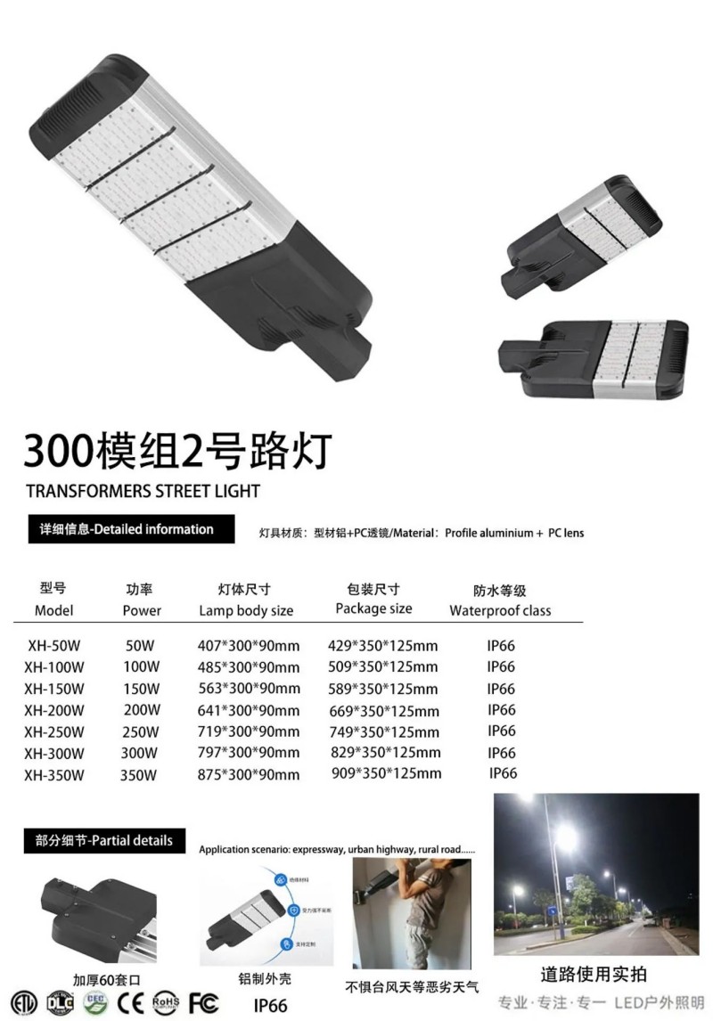 Heavy duty cobra street light