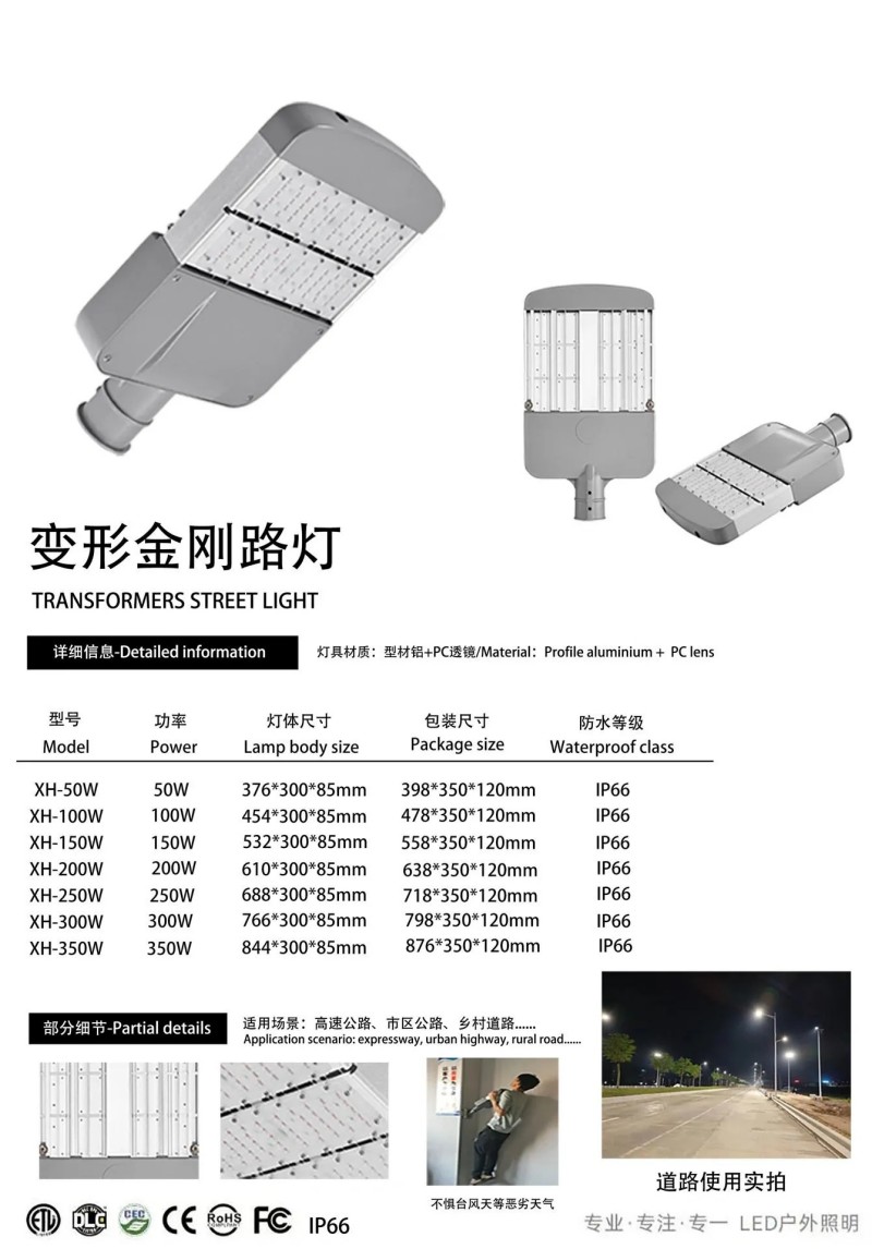 Municipal roadway lighting