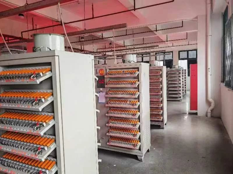 Atelier de tri et de formation des cellules de batteries LiFePO4 de MCL Solar sur 35 000m²